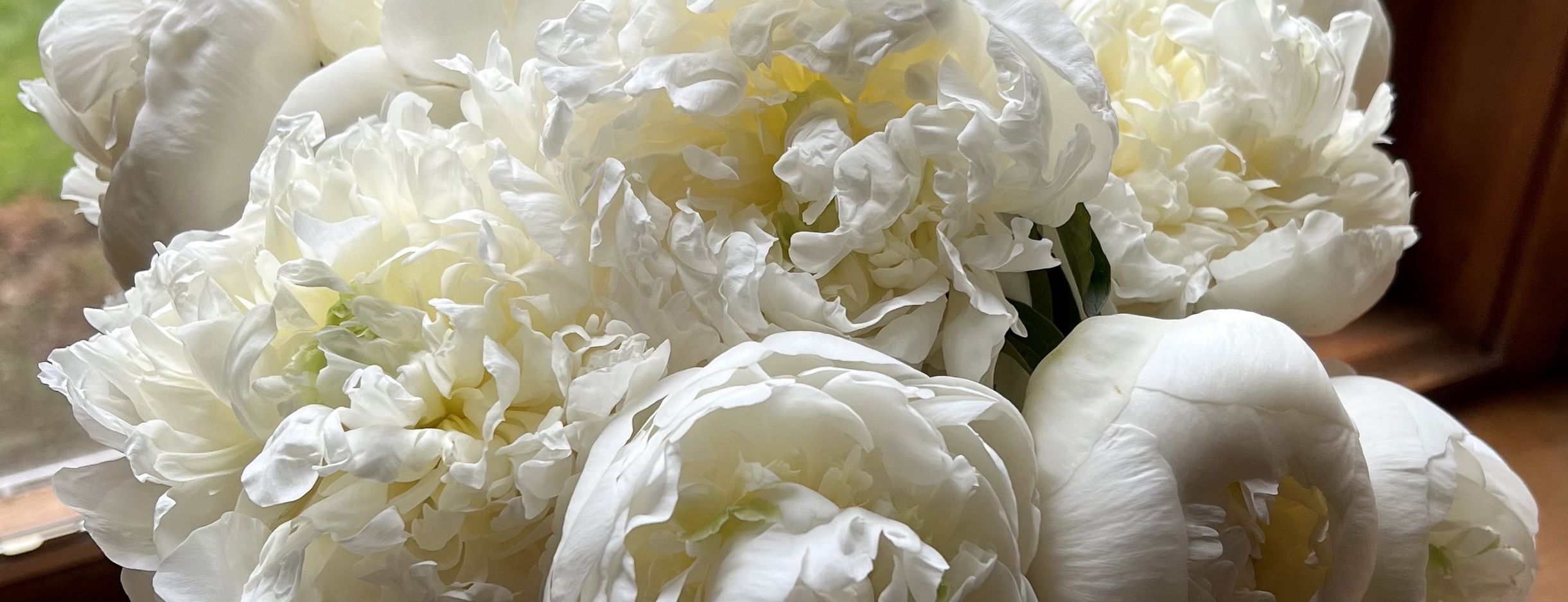 Close up of a white peony flower bouquet on trend for 2023