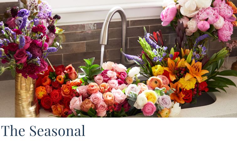 categoryAdSeasonalSubGrapefruit