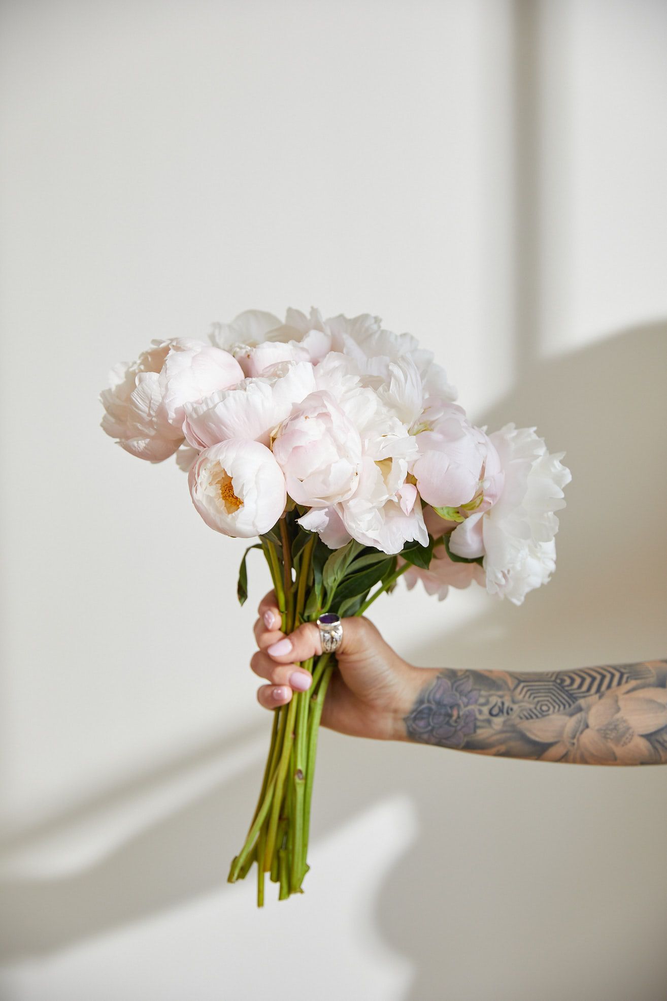 Hand holding bouquet of white peony flowers.