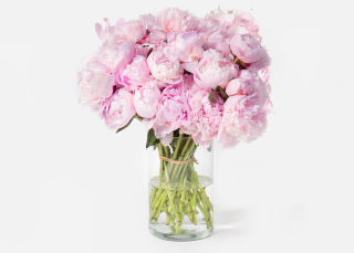 Triple The Peony image number 0