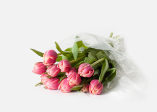 The Peony Tulips image number 2