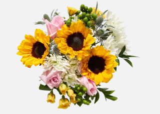 The Sunflower Splendor image number 1