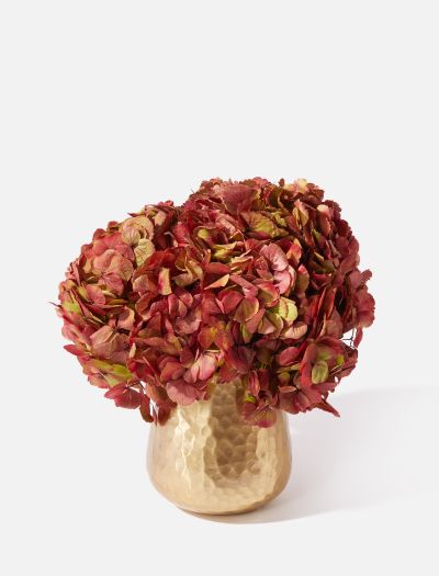 The Gemma-FLRL-K-10046