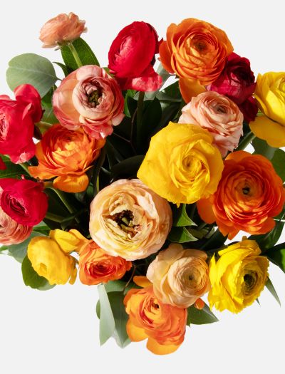 Double The Gratitude