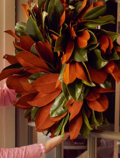 The Nola-NF-WRTH-02552