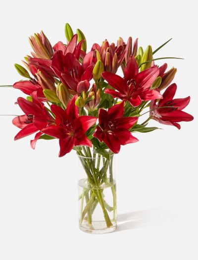 The Sangria-FLRL-B-10040