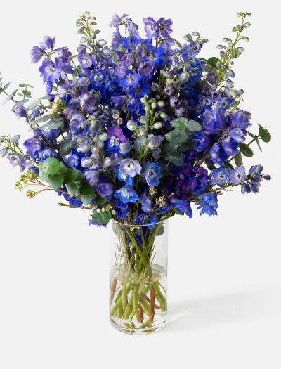 Shop Our Blue Flowers Collection » Same Day Delivery | Urbanstems