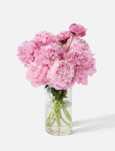 Order Mother S Day Flowers Free