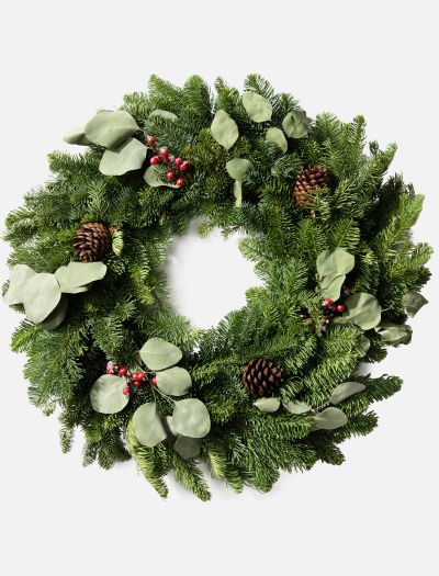 The Forest-NF-WRTH-02523