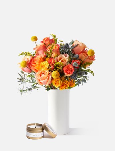 The Sagittarius-FLRL-K-10027