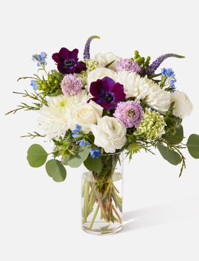 The Snowfall-FLRL-B-10055