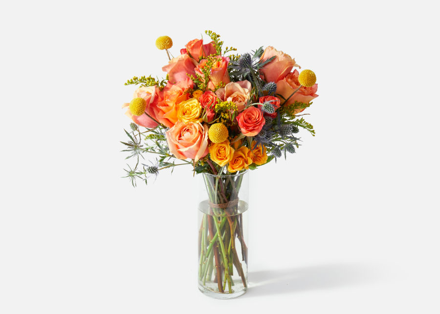The Firecracker (Thistle, Craspedia, Roses) - UrbanStems Flower bouquet Delivery
