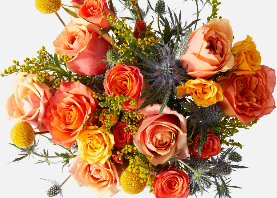 The Firecracker (Thistle, Craspedia, Roses) - UrbanStems Flower bouquet  Delivery