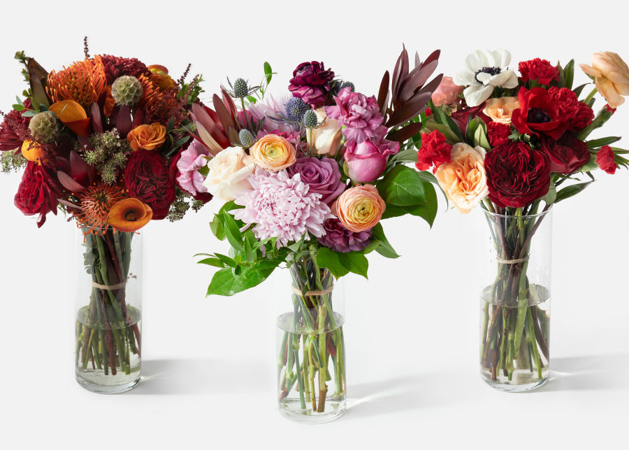 Fresh Flower Subscription Box from Urban Stems