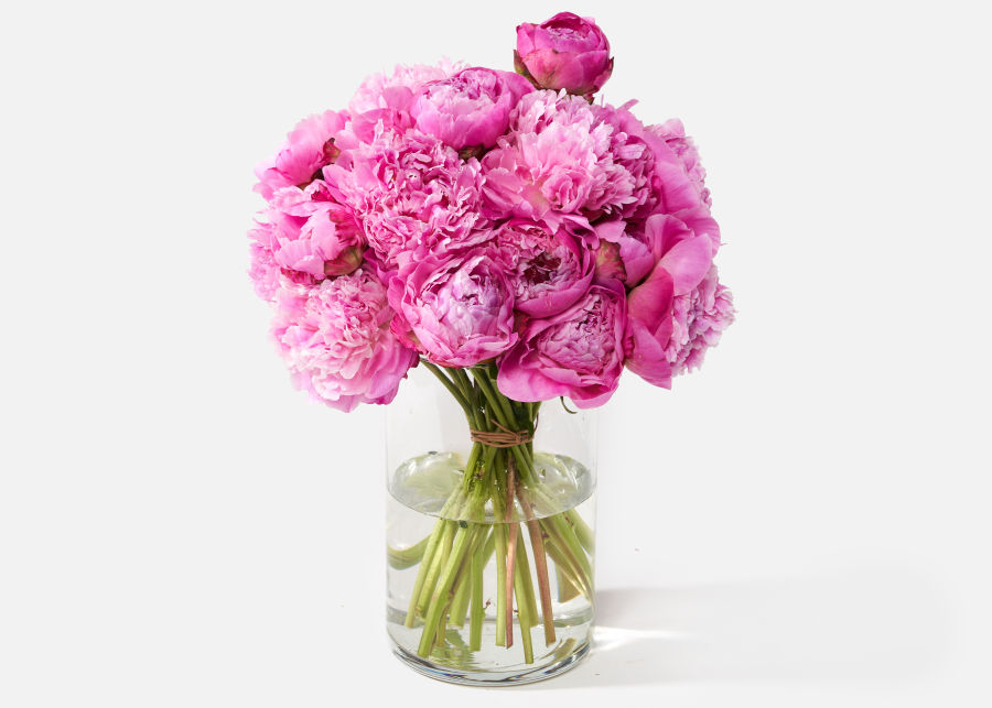 Double The Peony Send Flower Bouquets Urbanstems Flower Delivery