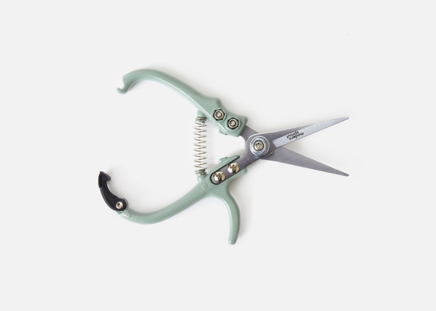 Full View of Modern Sprout Pruning Shears image number 0