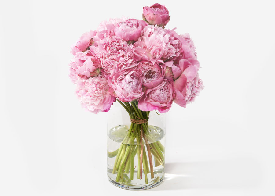 Double The Peony Send Flower Bouquets