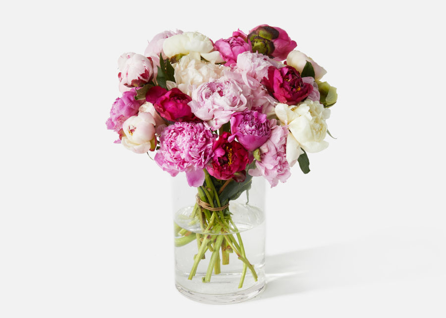 The Flowers and Wine Combo Is More Than an Aesthetic — 2PEONIES