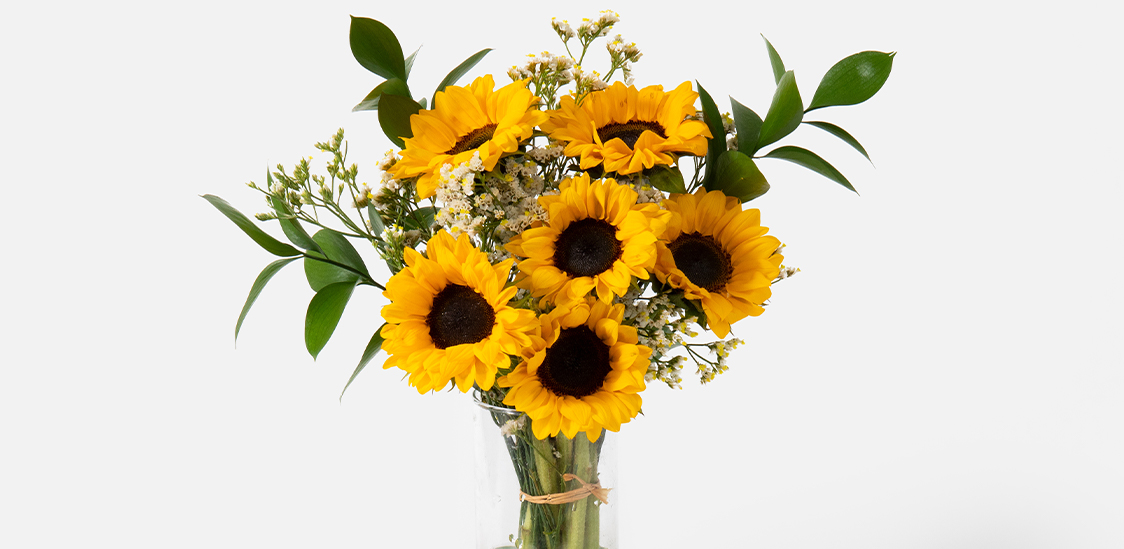 Sunflowers for birthday