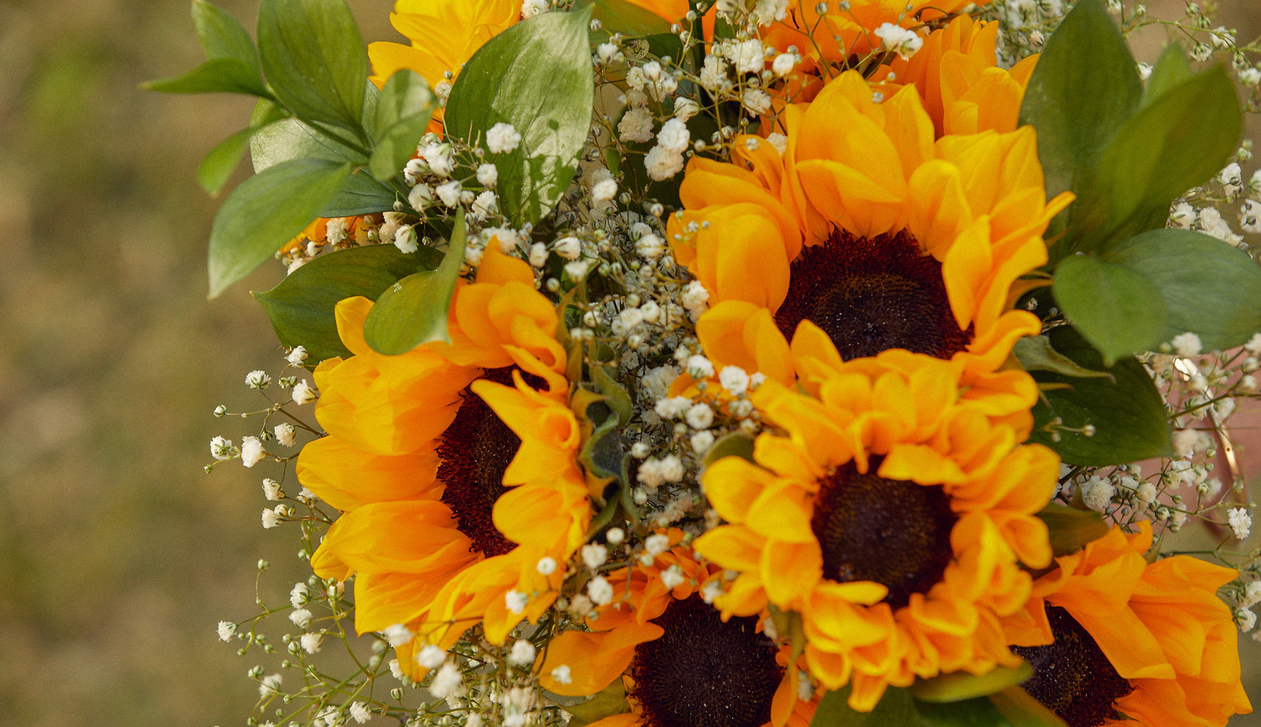 Close up of sunflower floral bouquet