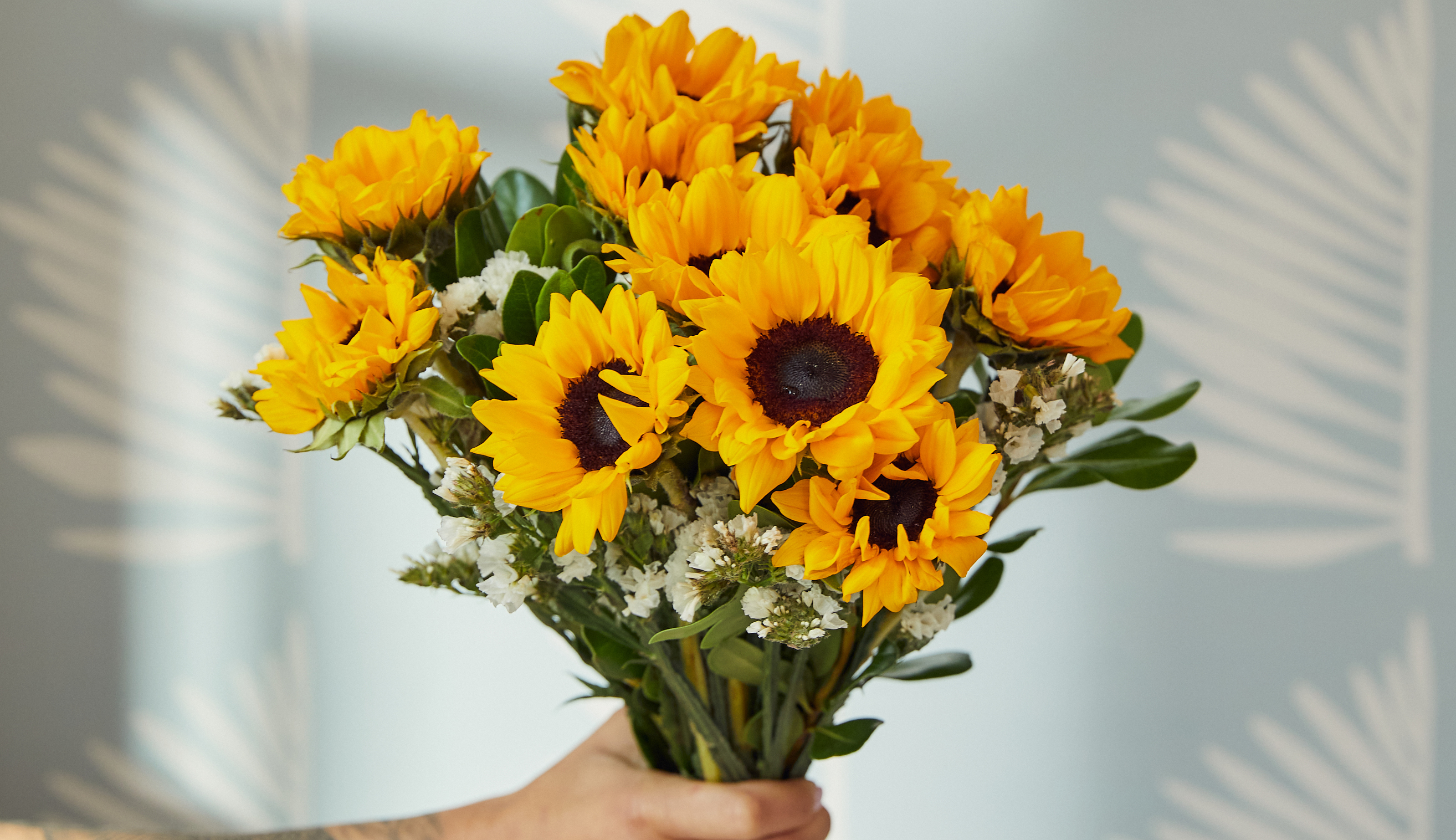 Hand holding sunflower bouquet