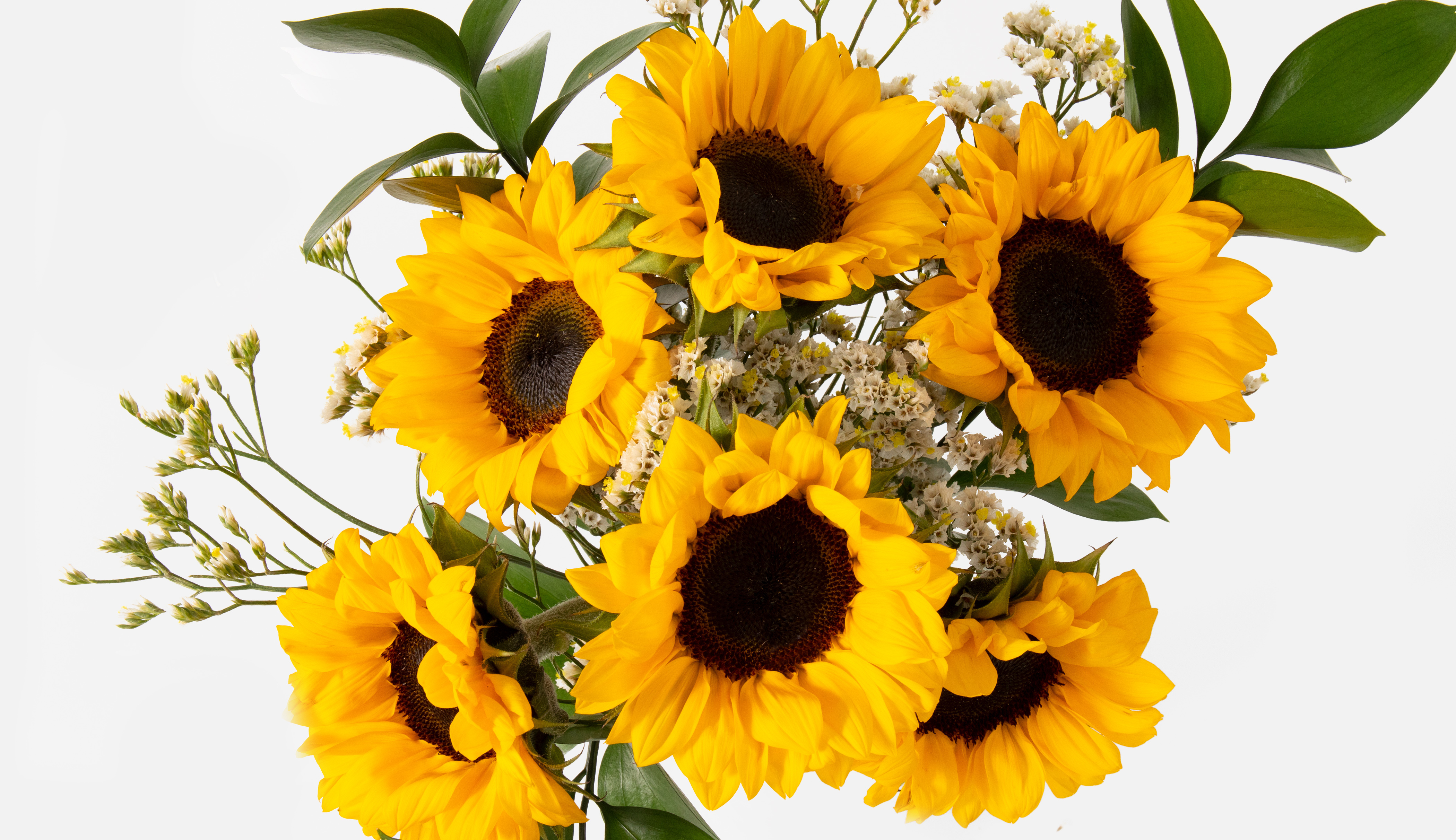 Top down view of sunflower bouquet.