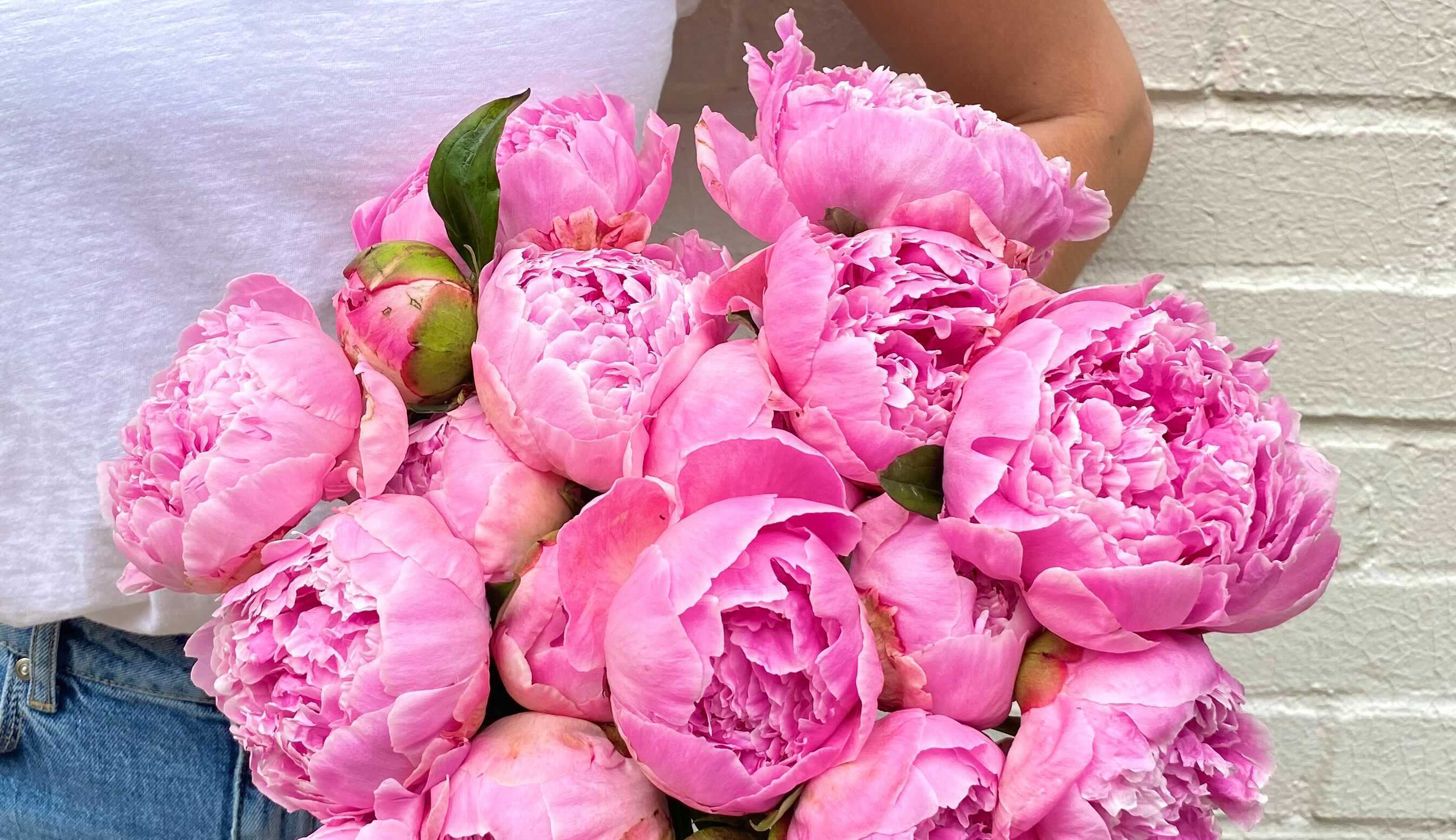 Close up of  bright pink peony bouquet