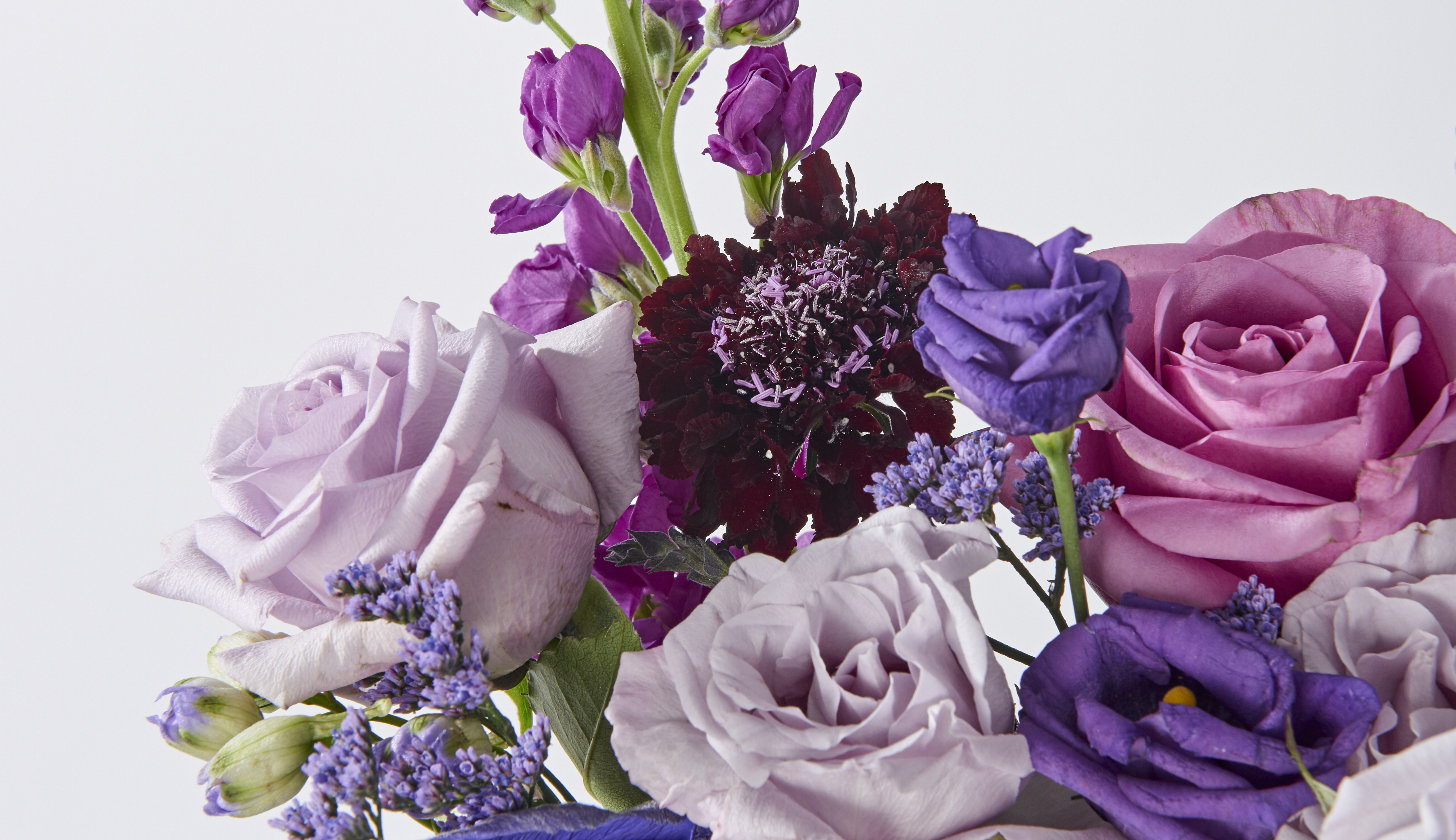 Close up of a bouquets with purple flowers