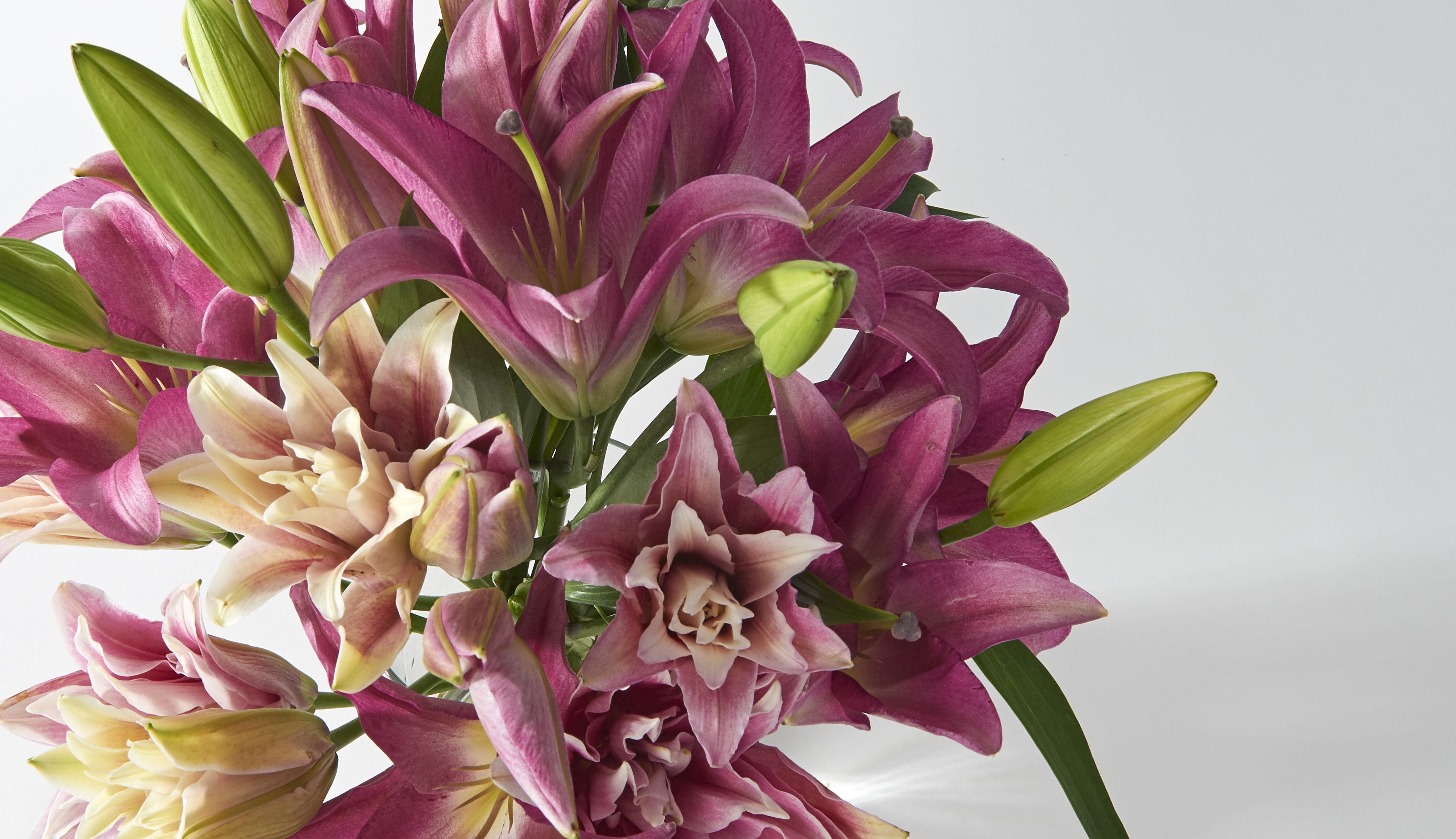 Close up of a lily bouquet for delivery
