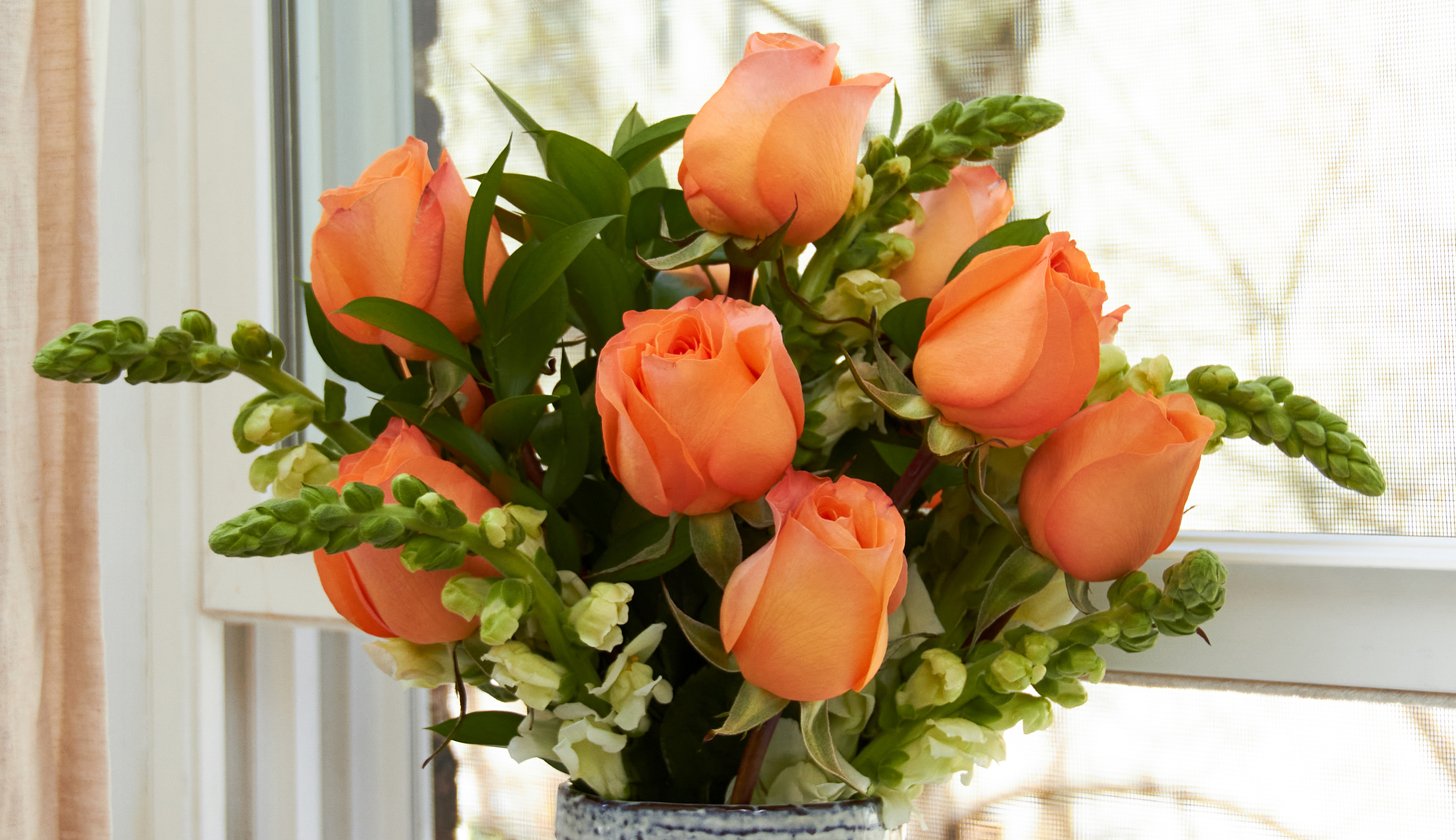 Close up or orange spring roses for same day and next day flower delivery