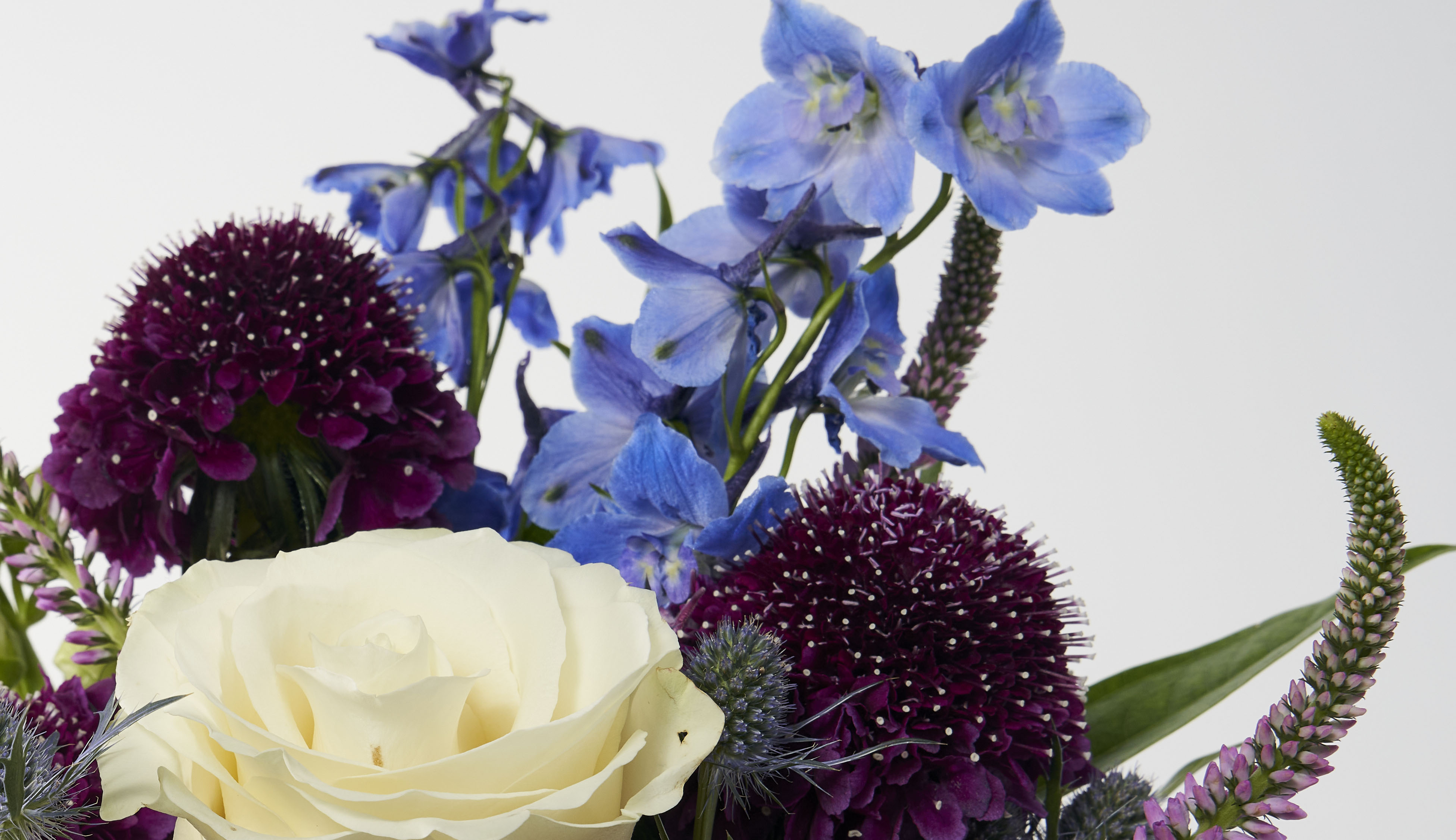 Close up of blue and purple flower bouquet to promote wellness
