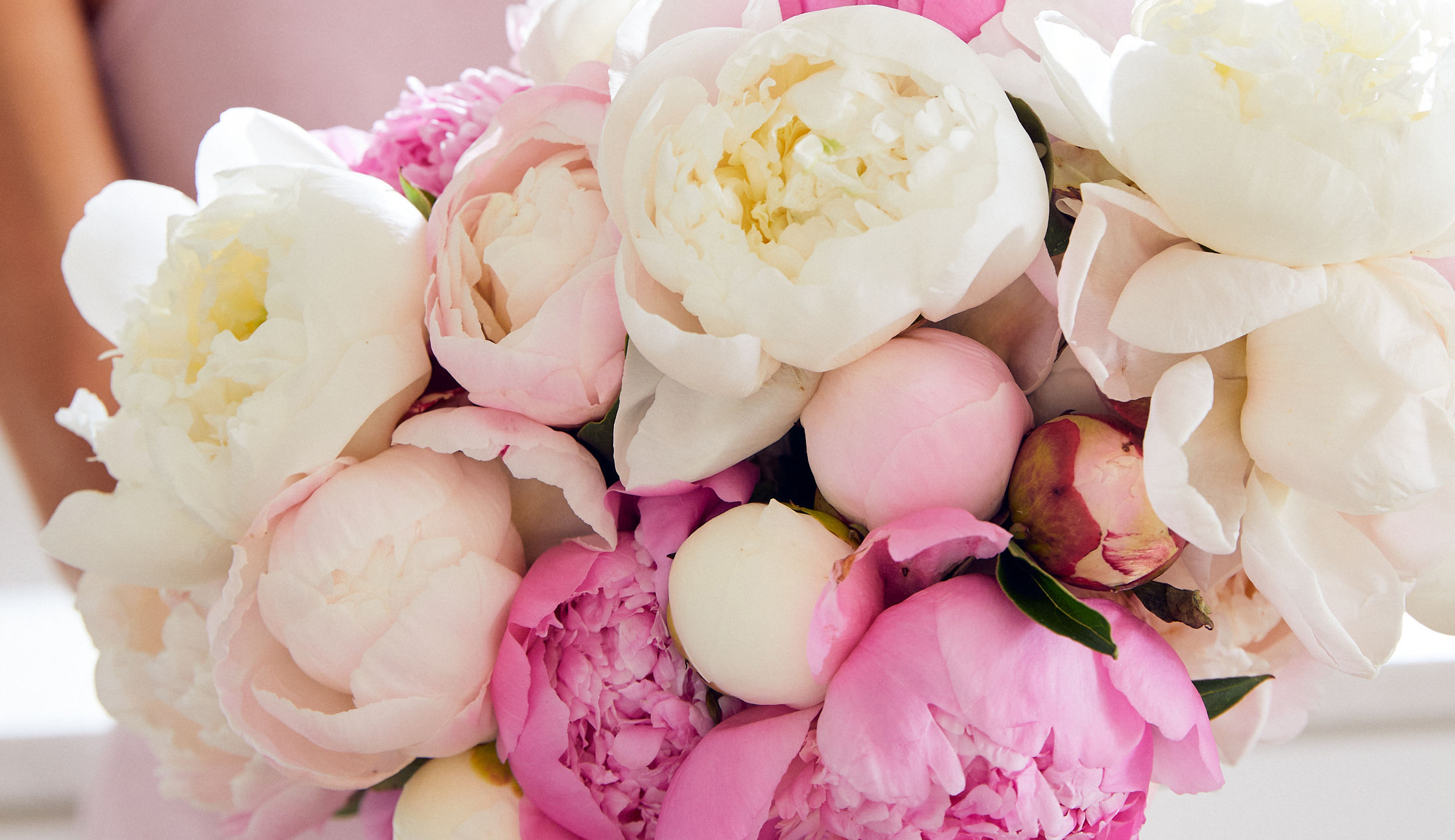 An armful of pink peonies perfect for a summer wedding