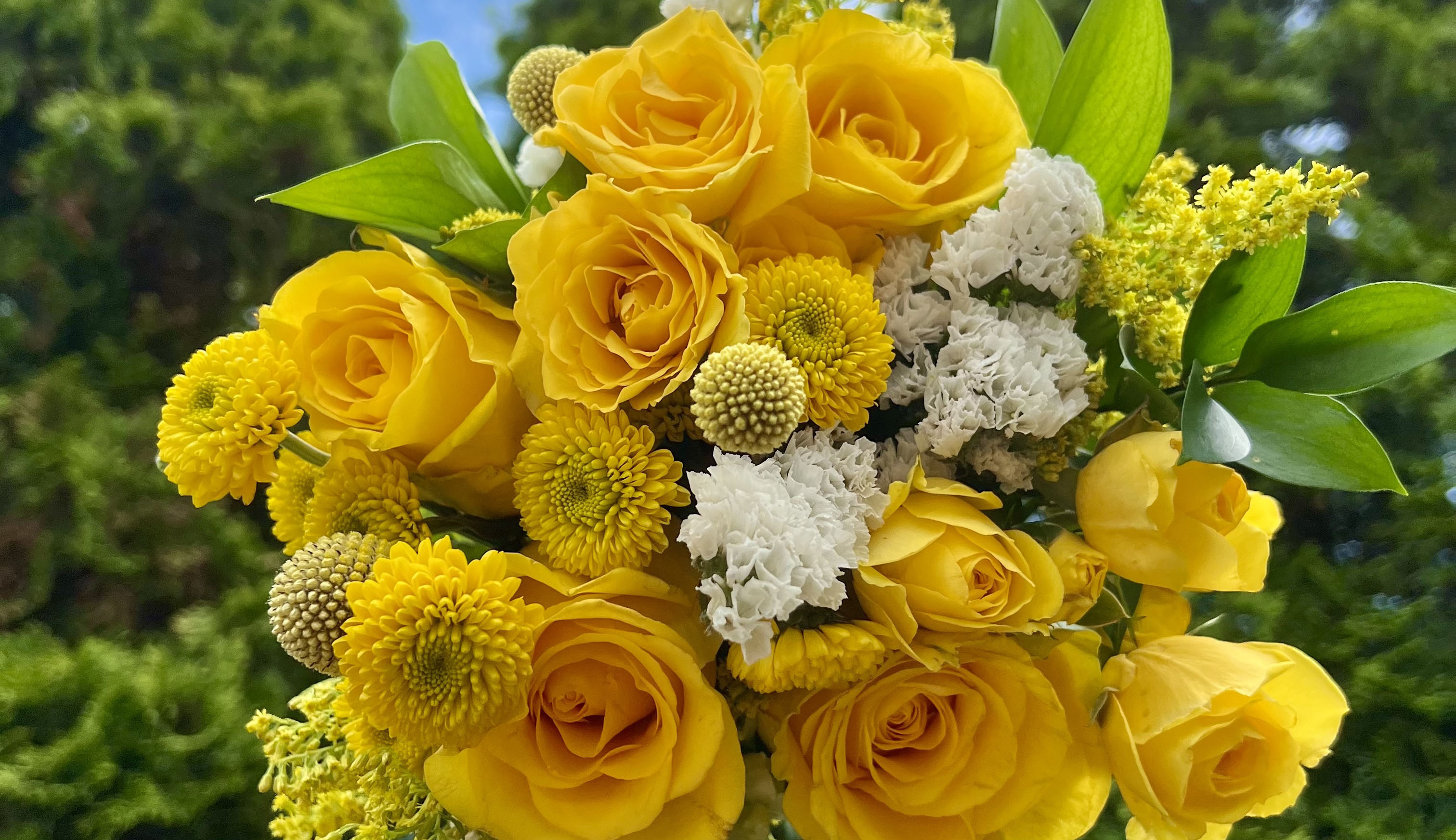 Close up of a bouquet of yellow flowers for March