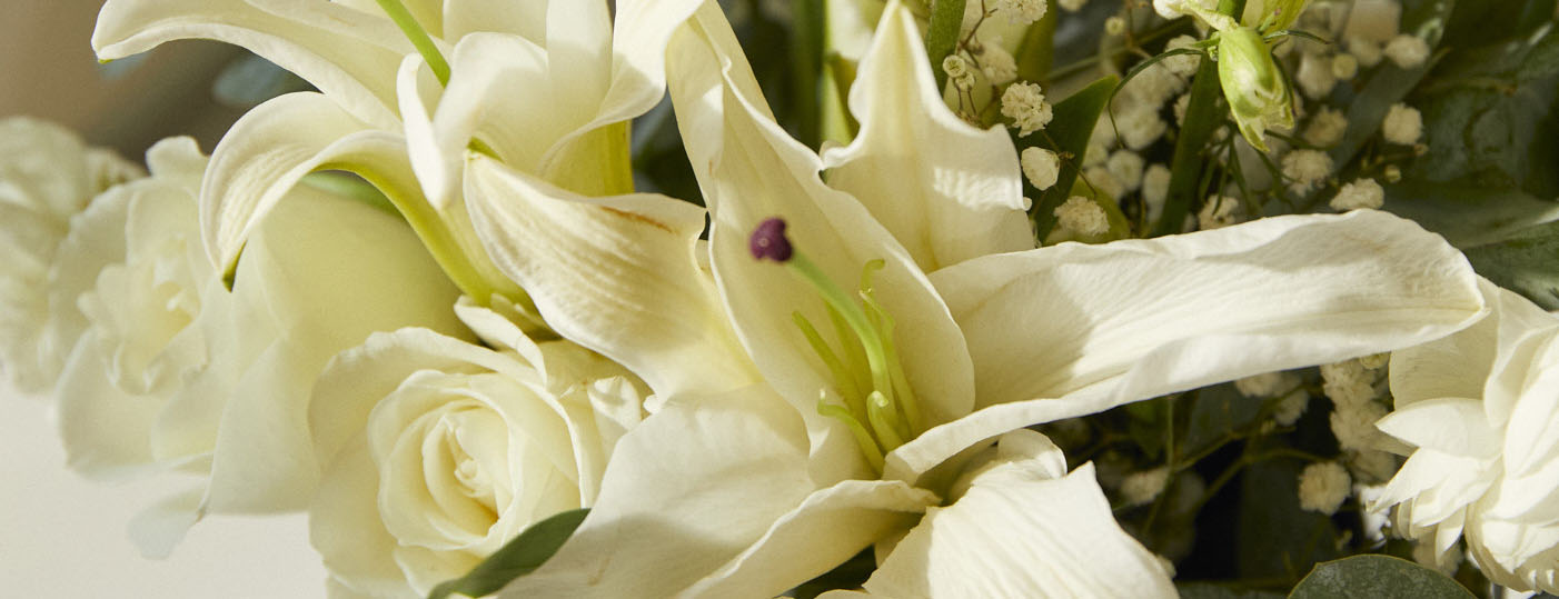 Close up of white sympathy flowers