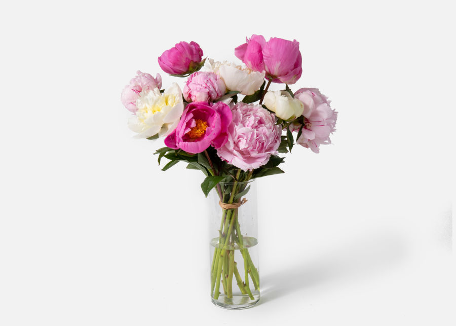 The Peony Send Flower Bouquets Urbanstems Flower Delivery